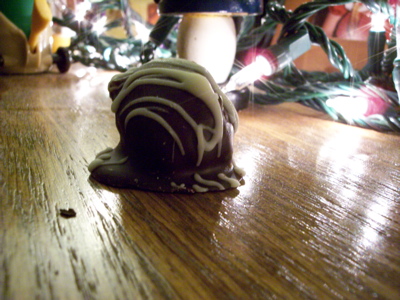 100_1069.jpg